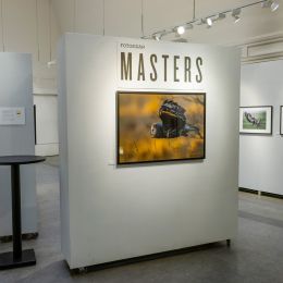 Fotosidan Masters 2022