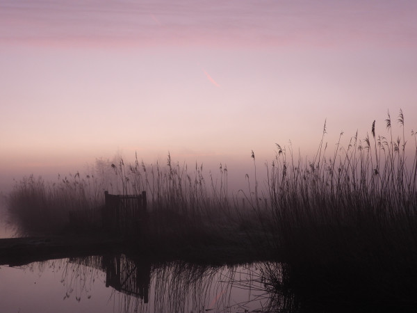 Foto: Axel Guinée - Belgium. Early Fog 